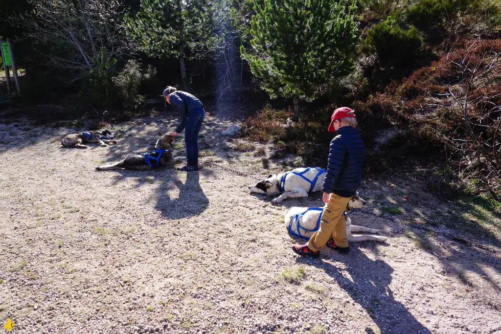 Lozère en famille activités pour des vacances avec enfants