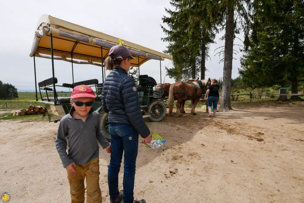 Lozère en famille activités pour des vacances avec enfants