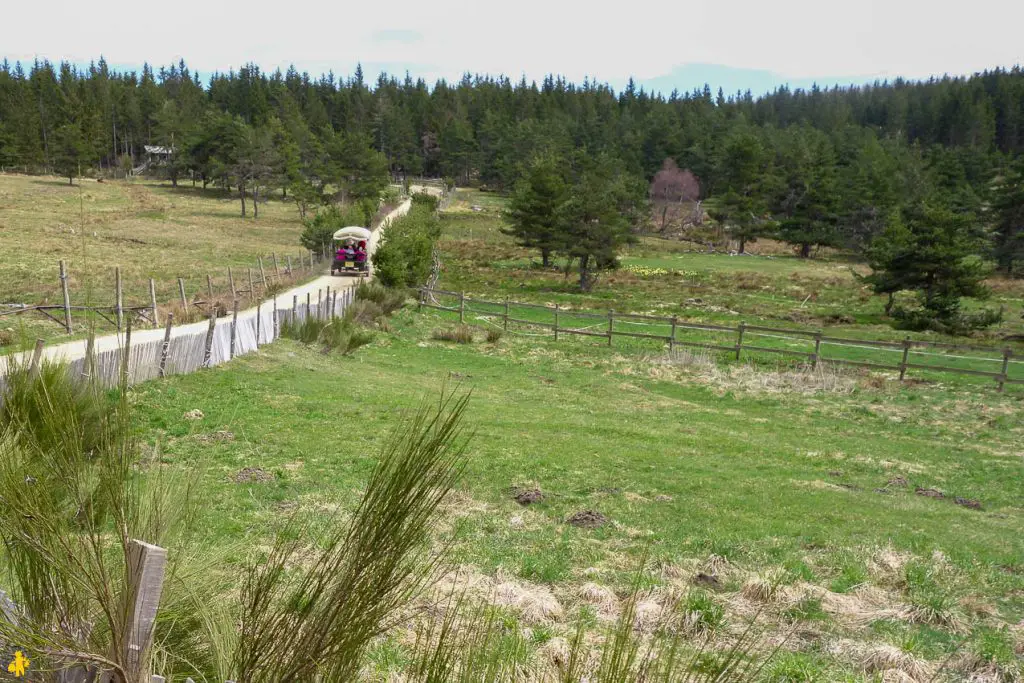 Vacances Lozère en famille Lozère en famille activités pour des vacances avec enfants