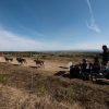 Vacances en Lozère en famille M 2 avant LAmérique du Sud changement de programme | Blog VOYAGES ET ENFANTS