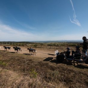 Vacances en Lozère en famille Lozère en famille activités pour des vacances avec enfants