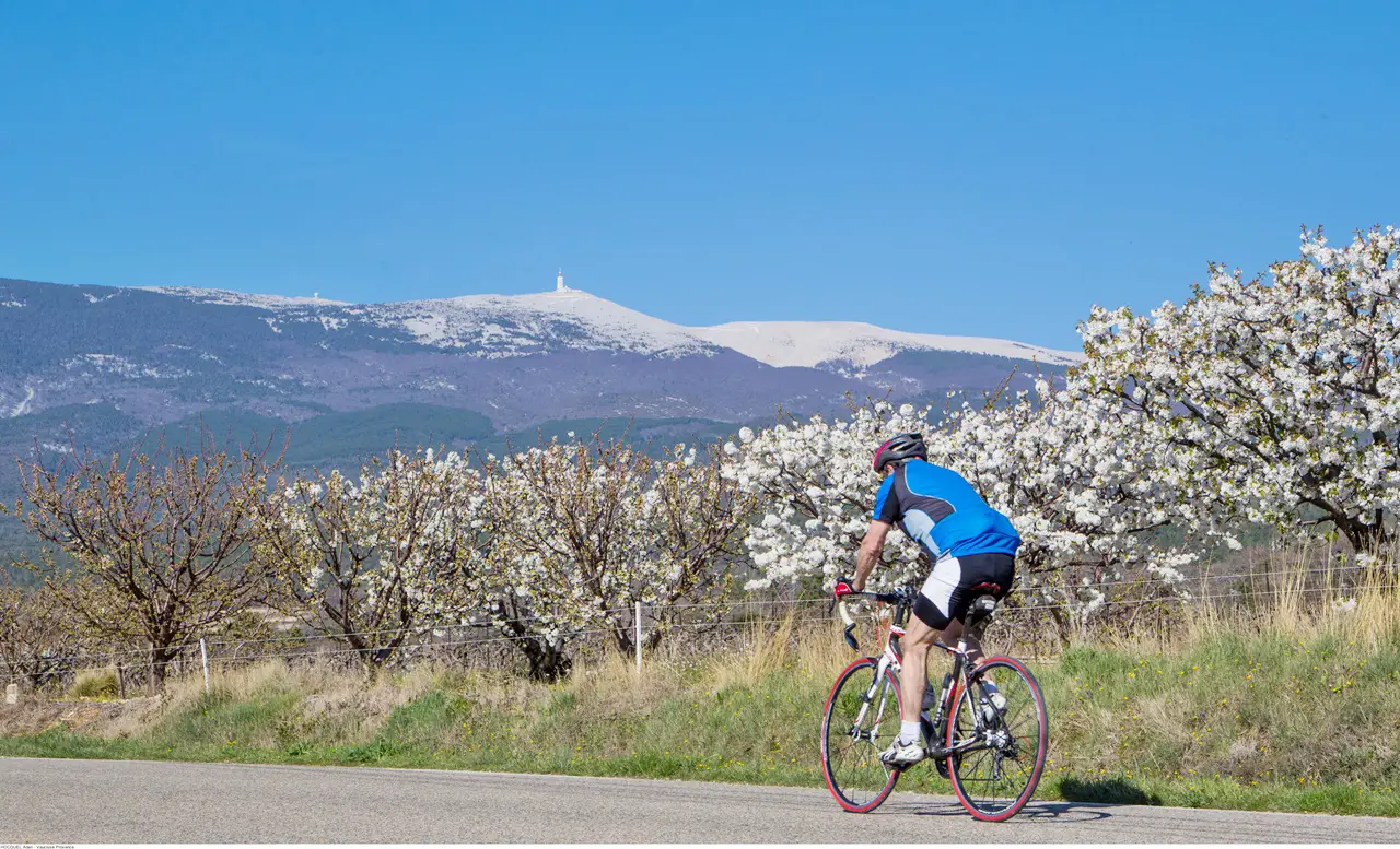 Que faire en Provence avec des ados Top Activités fun