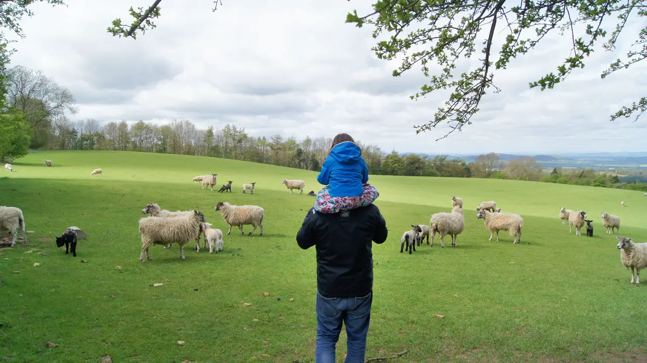 Cotswolds et Bath avec des enfants | Blog VOYAGES ET ENFANTS