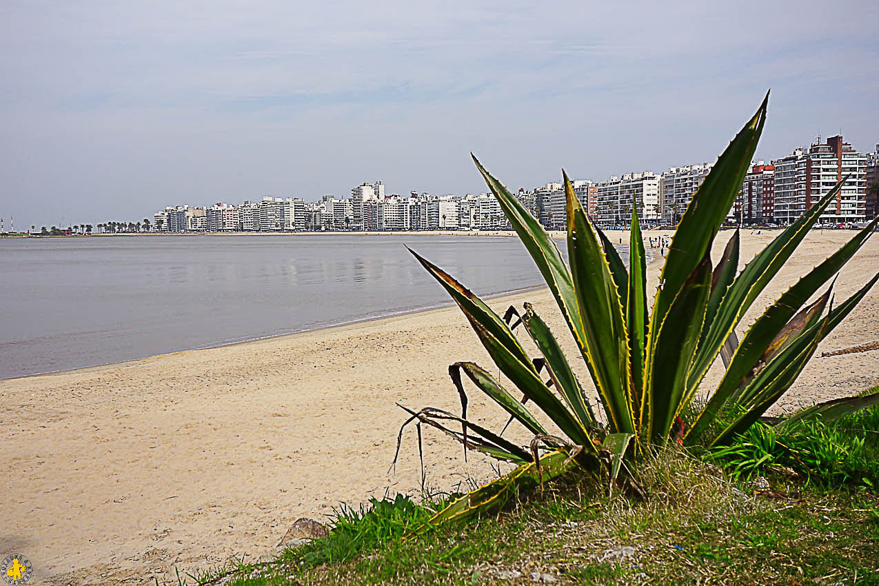 1 semaine à Montevideo à petit budget