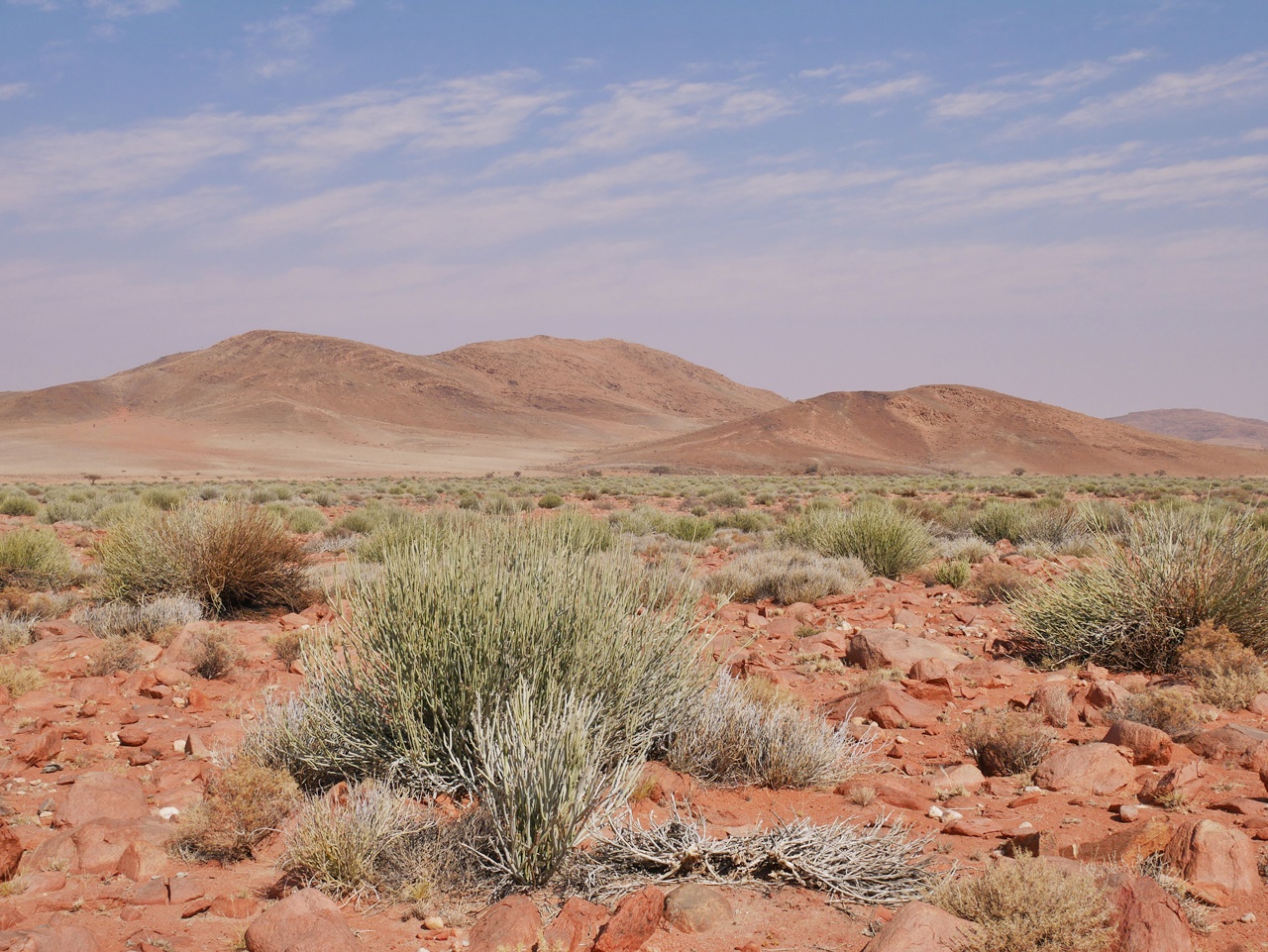 3 semaines en Namibie en famille