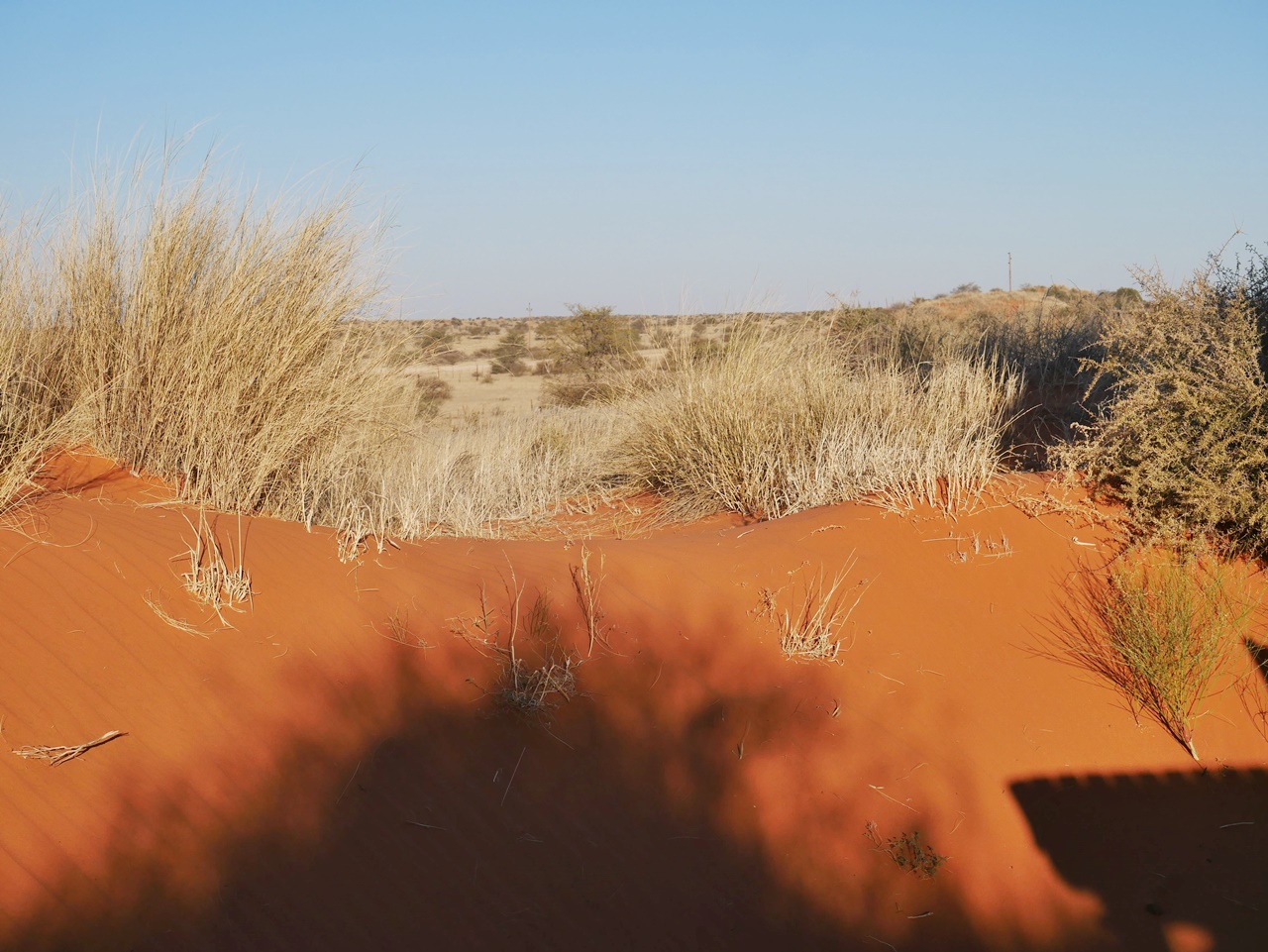 Namibie en famille