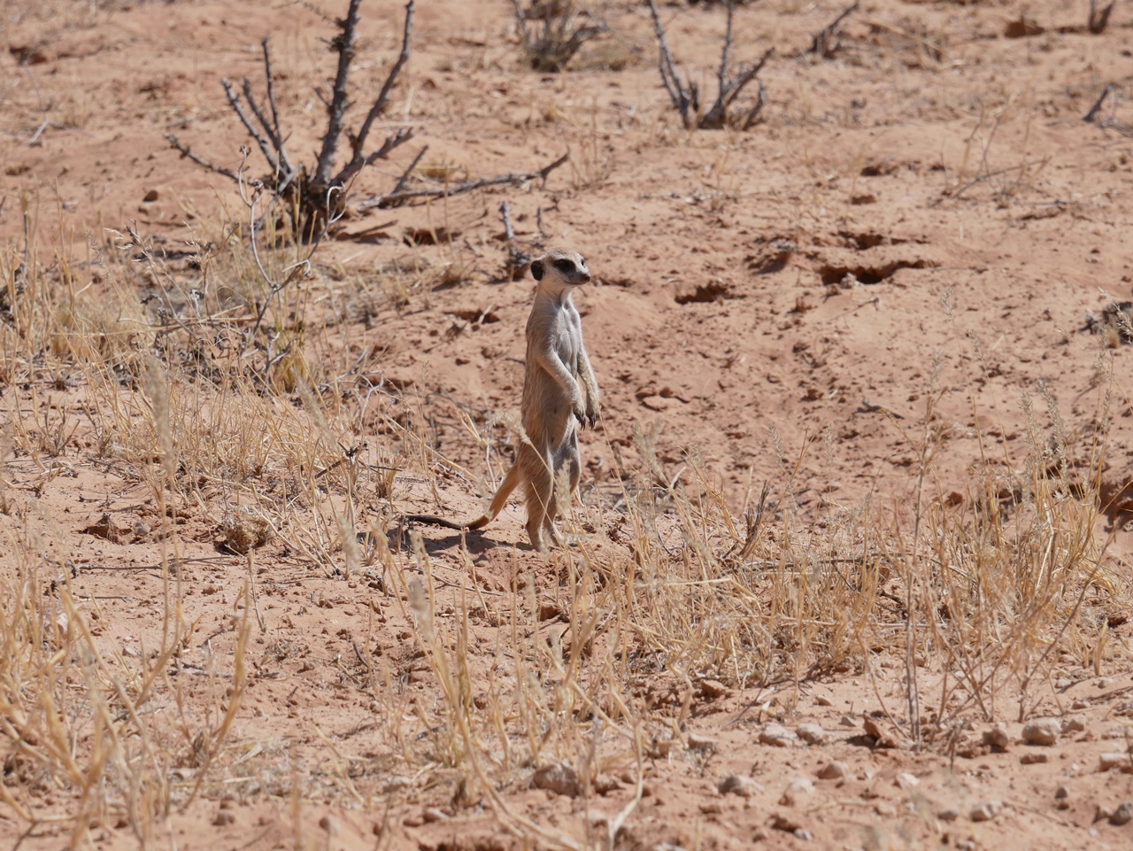 Namibie en famille