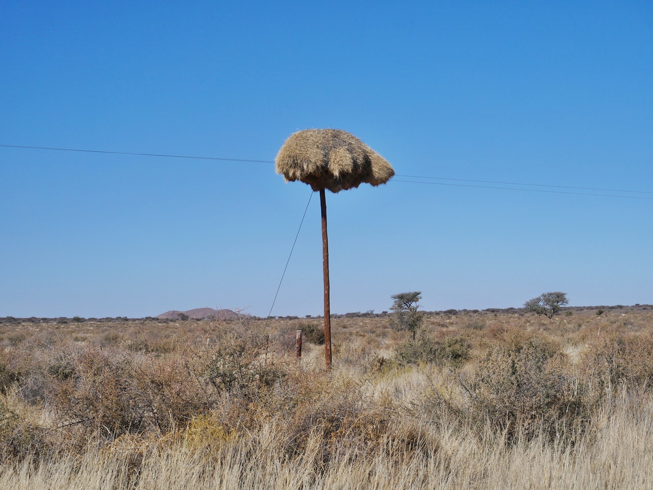 Voyage Namibie en famille témoignage