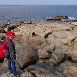 Observer des animaux en famille en France et étranger 25 destinations où observer des animaux France Etranger