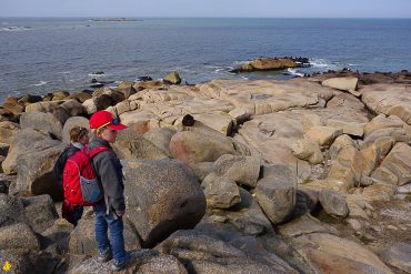 Observer des animaux en famille en France et étranger