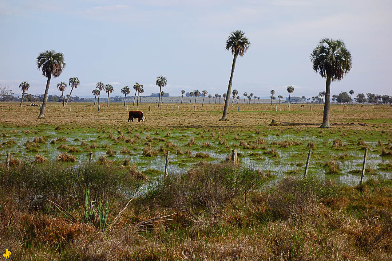 Road trip centre Uruguay en 4x4 et en famille | Blog VOYAGES ET ENFANTS