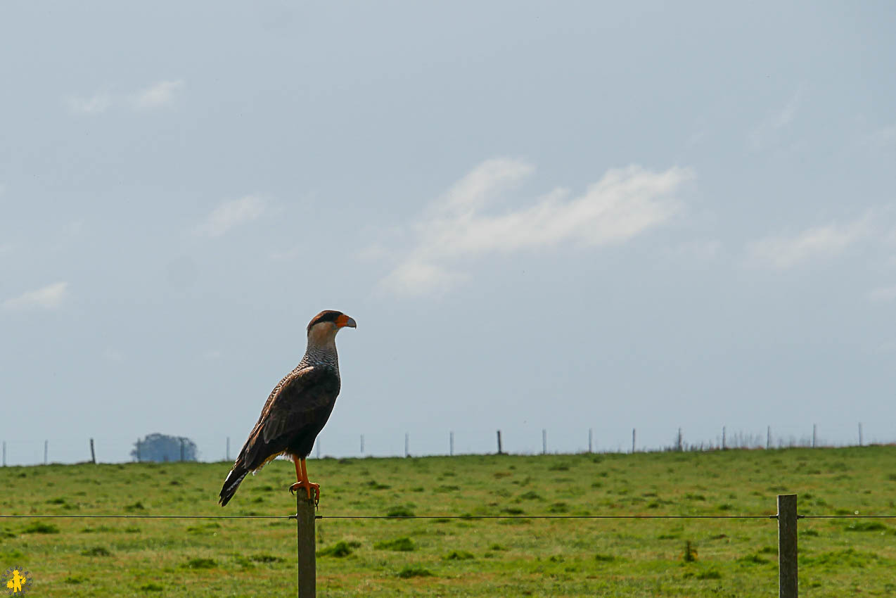 Road trip centre Uruguay en 4x4 et en famille | Blog VOYAGES ET ENFANTS