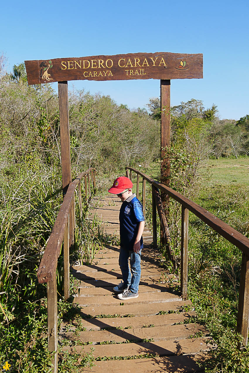 Esteros de Ibera et San Ignacio Mini en famille en 4x4 | Blog VOYAGES ET ENFANTS