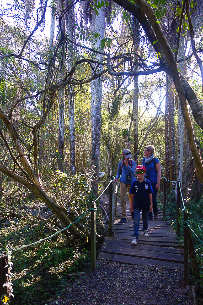 Esteros de Ibera et San Ignacio Mini en famille en 4x4 | Blog VOYAGES ET ENFANTS