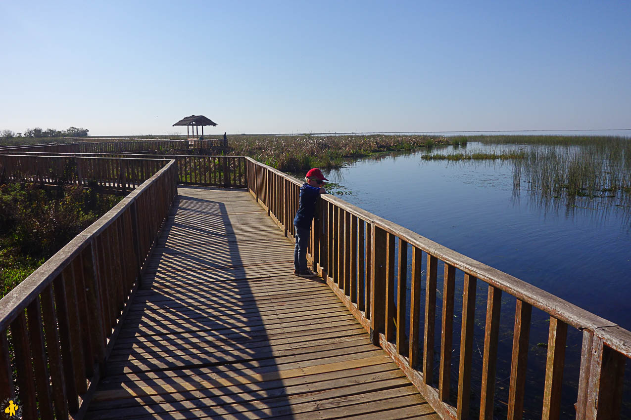 Esteros de Ibera et San Ignacio Mini en famille en 4x4 | Blog VOYAGES ET ENFANTS