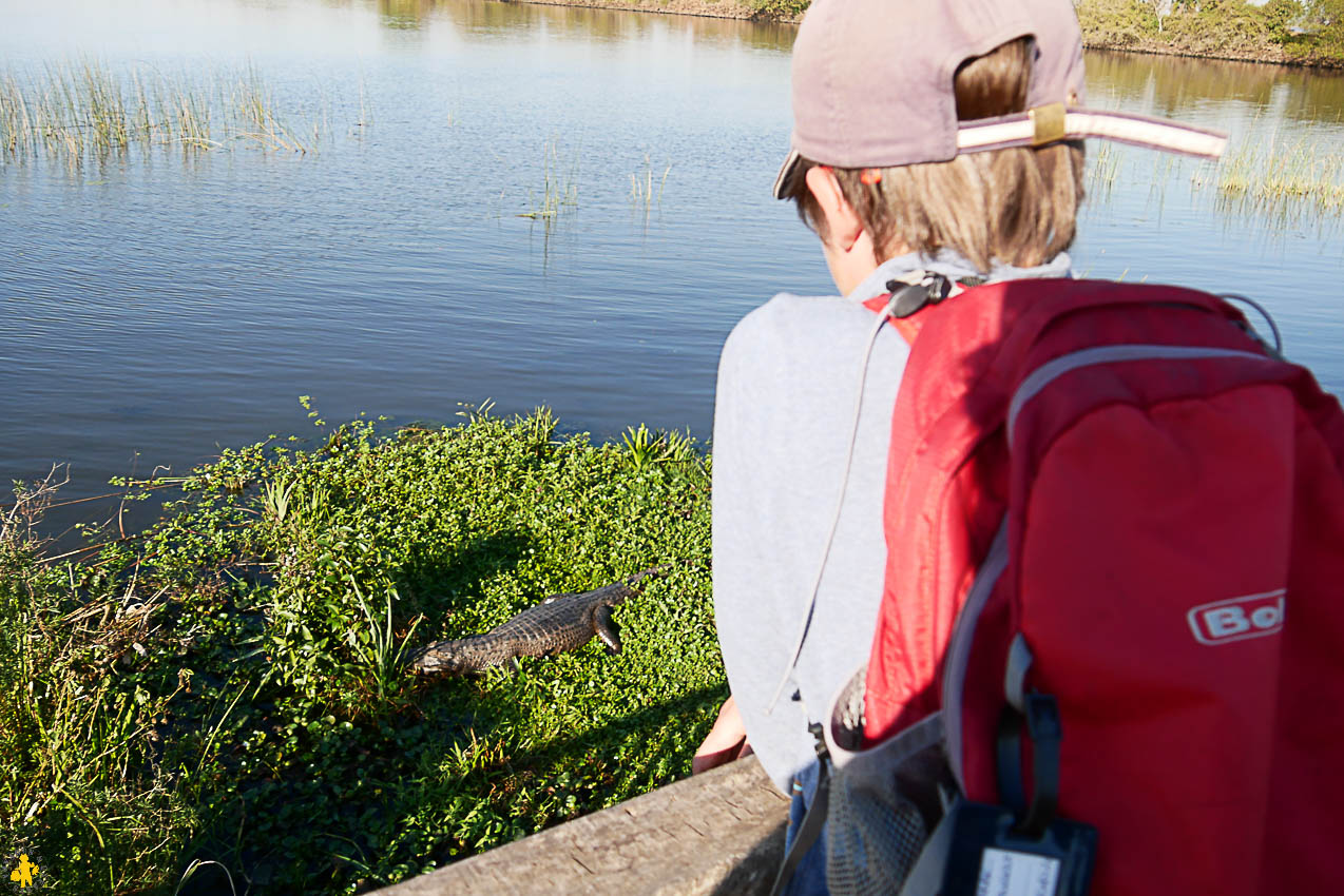 Esteros de Ibera et San Ignacio Mini en famille en 4x4 | Blog VOYAGES ET ENFANTS