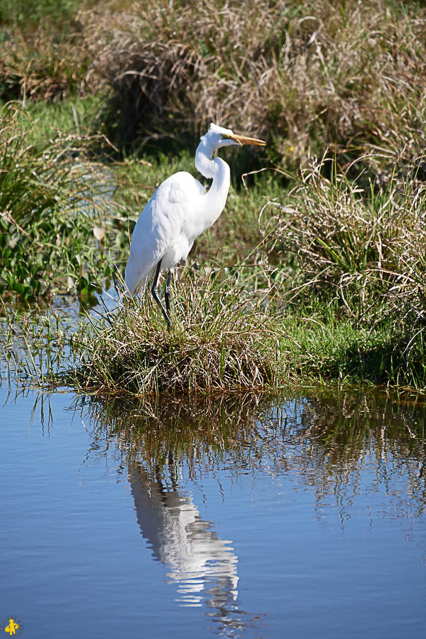 Esteros de Ibera et San Ignacio Mini en famille en 4x4 | Blog VOYAGES ET ENFANTS