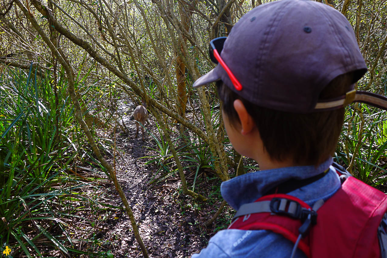 Le Parc Ibéra et San Ignacio Mini