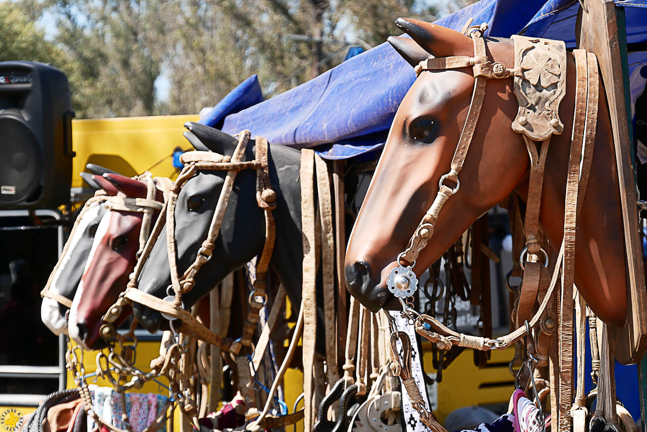 Esteros de Ibera et San Ignacio Mini en famille en 4x4 | Blog VOYAGES ET ENFANTS