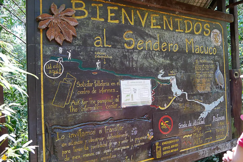 Sentier Macuco avec les enfants Iguazu en famille Argentine et Brésil activités et conseils | Blog VOYAGES ET ENFANTS
