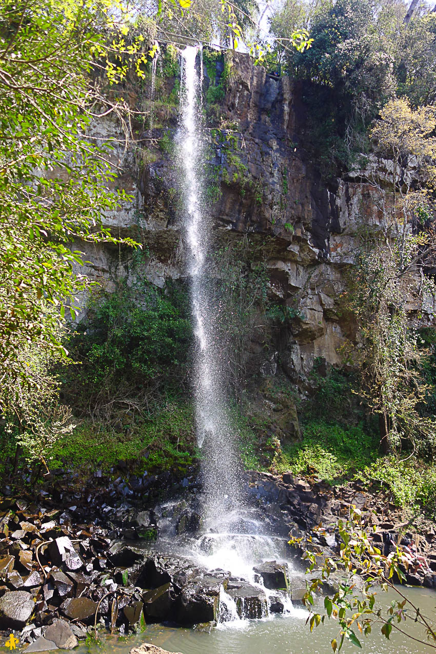Chute de Macuco, vue d'en bas - Iguazu