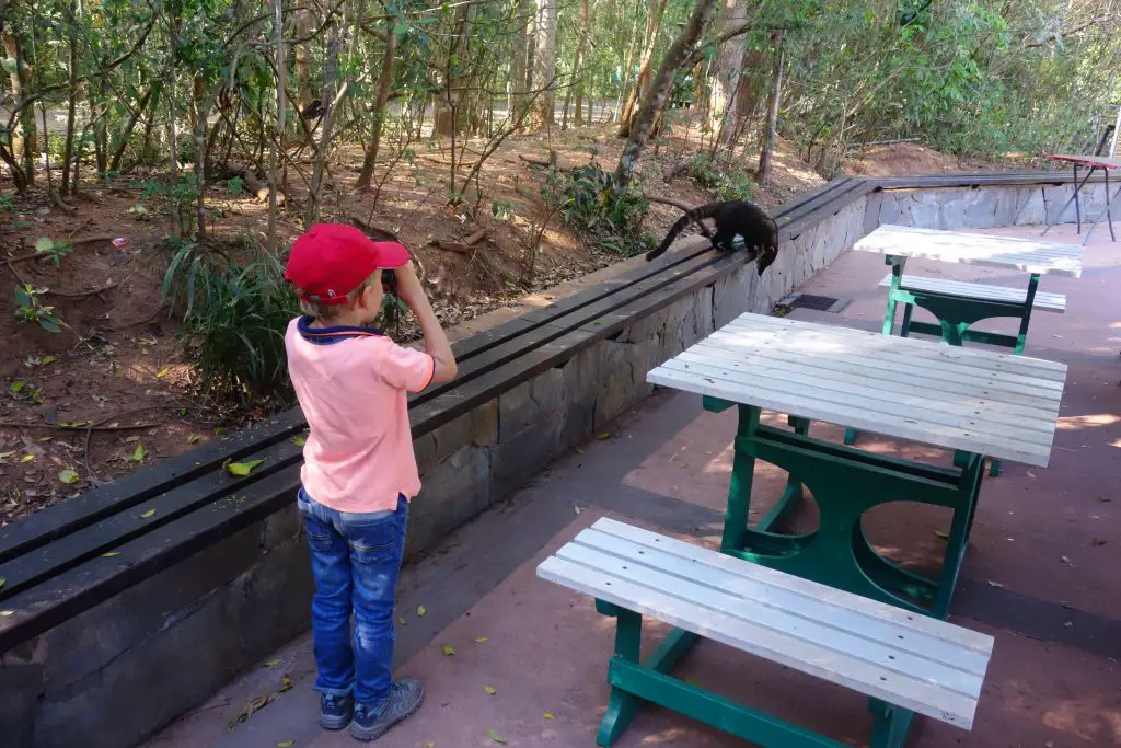 Iguazu en famille Argentine et Brésil activités et conseils | Blog VOYAGES ET ENFANTS