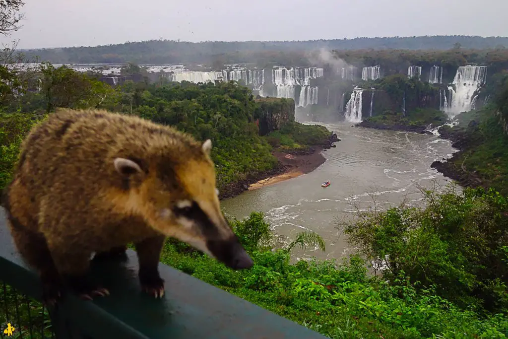 Iguazu en famille Argentine et Brésil activités et conseils | Blog VOYAGES ET ENFANTS