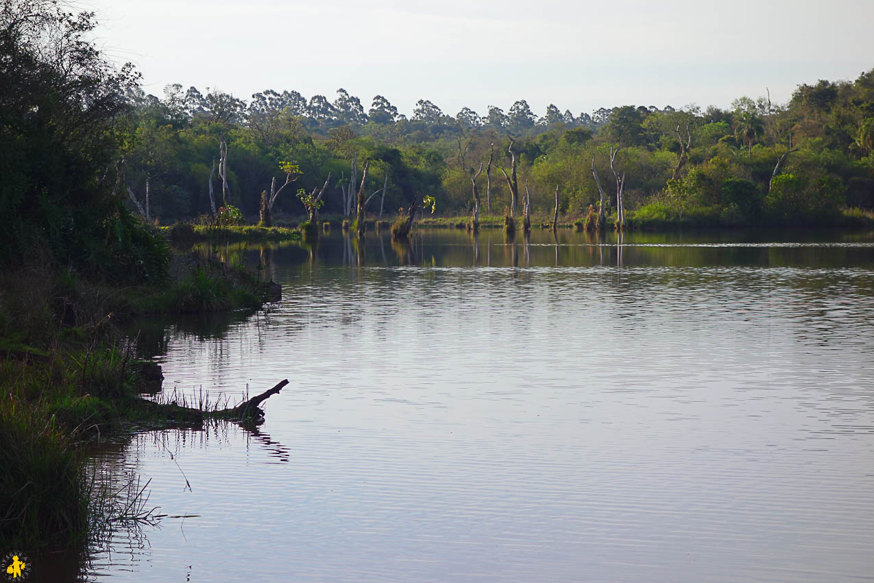 Barrage Itaipu Parc San Rafael et missions jésuites en famille | Blog VOYAGES ET ENFANTS