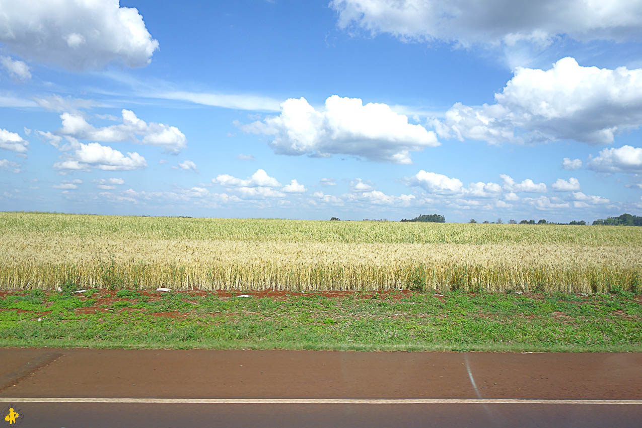 Barrage Itaipu Parc San Rafael et missions jésuites en famille | Blog VOYAGES ET ENFANTS