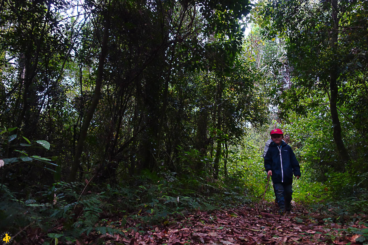 Barrage Itaipu Parc San Rafael et missions jésuites en famille | Blog VOYAGES ET ENFANTS