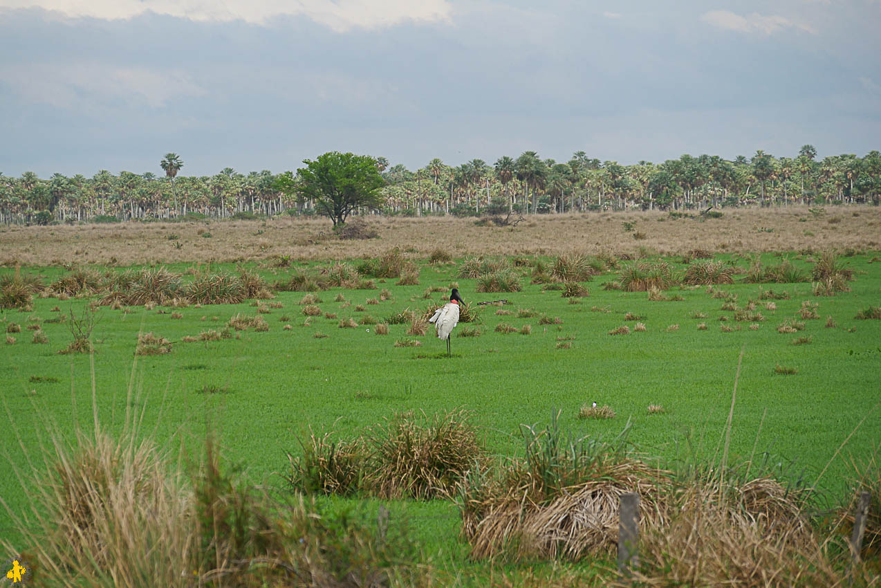 Le Chaco en 4x4 et en famille Filadelfia Paraguay | Blog VOYAGES ET ENFANTS