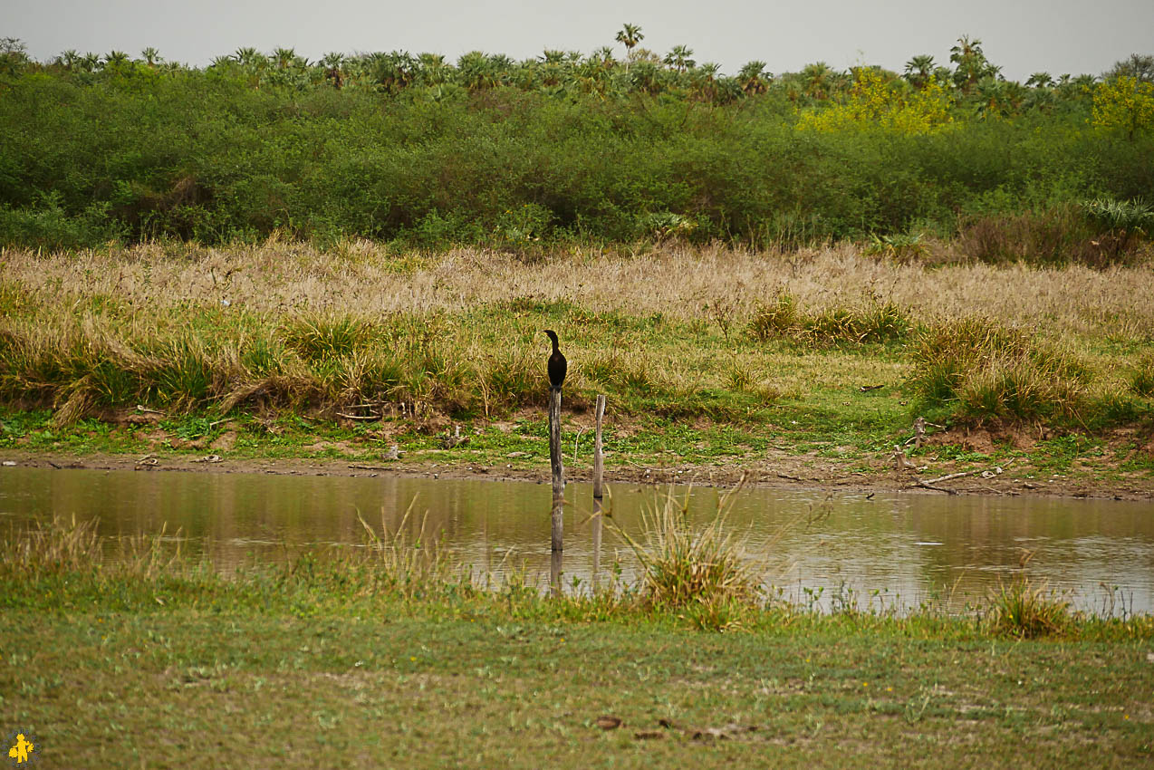 Le Chaco en 4x4 et en famille Filadelfia Paraguay | Blog VOYAGES ET ENFANTS