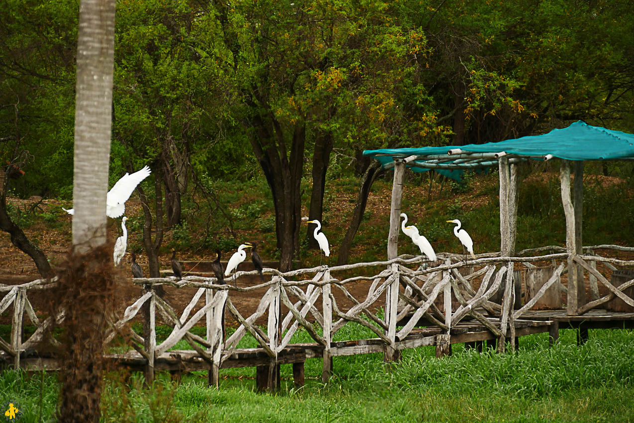 Le Chaco en 4x4 et en famille Filadelfia Paraguay | Blog VOYAGES ET ENFANTS