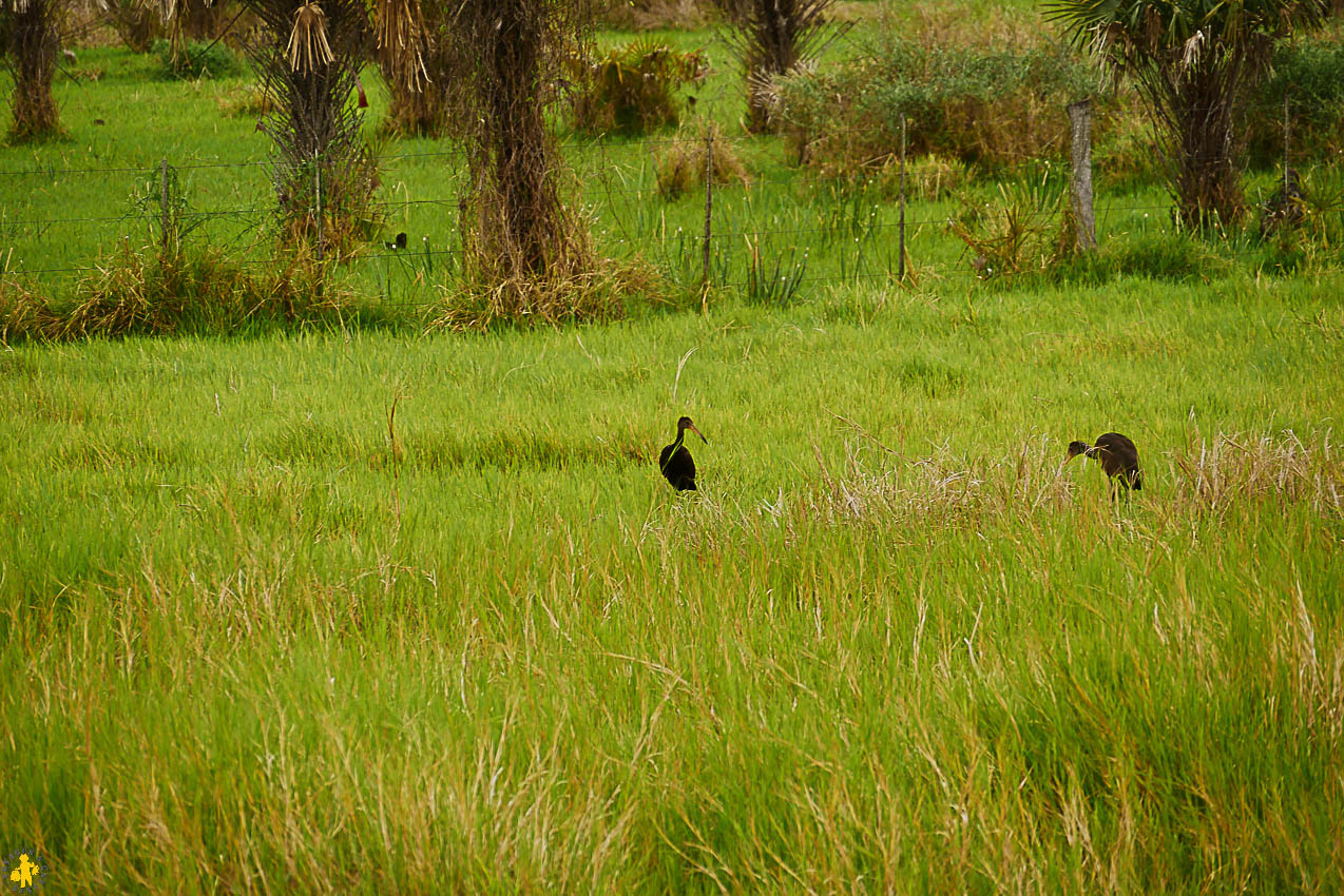 Le Chaco en 4x4 et en famille Filadelfia Paraguay | Blog VOYAGES ET ENFANTS