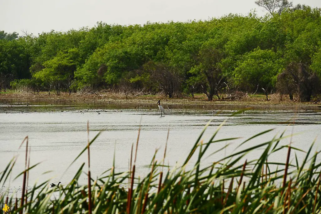 Le Chaco en 4x4 et en famille Filadelfia Paraguay | Blog VOYAGES ET ENFANTS