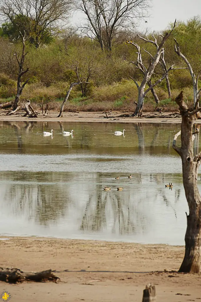 Le Chaco en 4x4 et en famille Filadelfia Paraguay | Blog VOYAGES ET ENFANTS