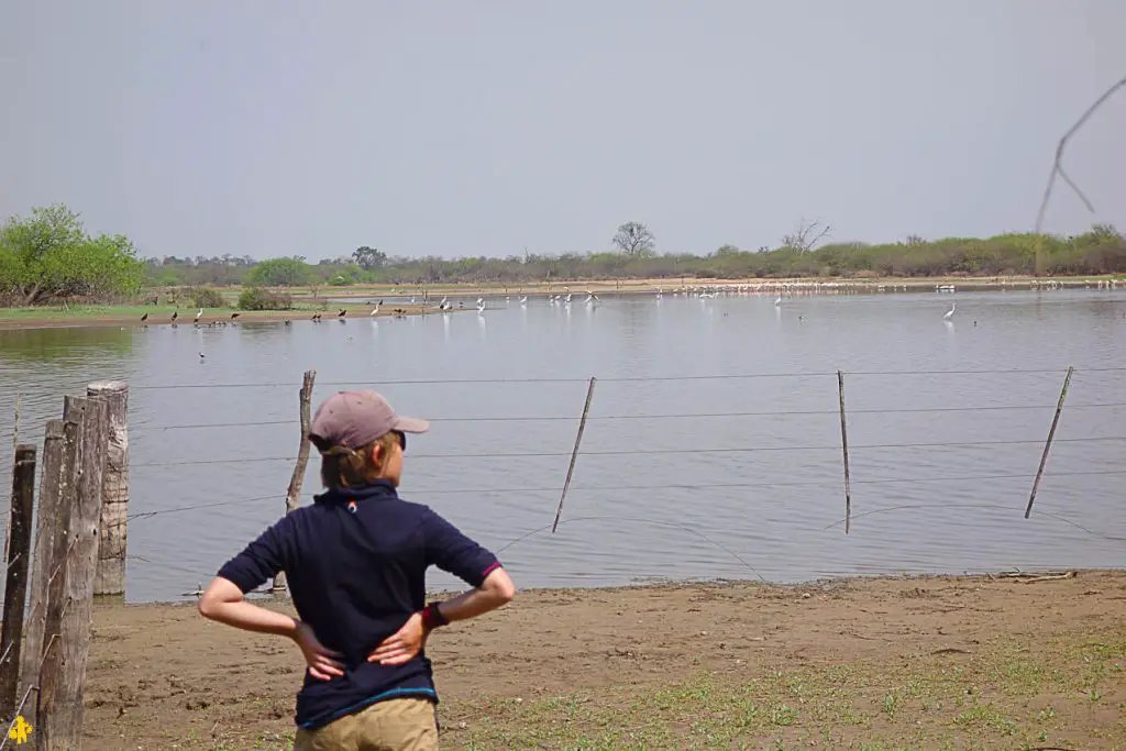 Le Chaco en 4x4 et en famille Filadelfia Paraguay | Blog VOYAGES ET ENFANTS