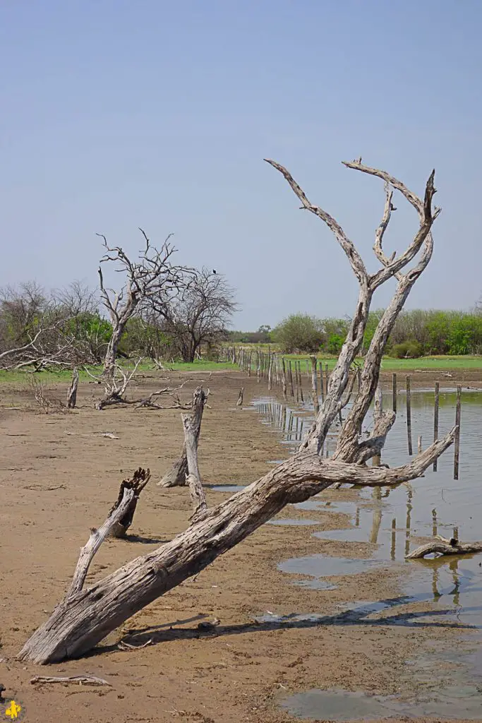 Le Chaco en 4x4 et en famille Filadelfia Paraguay | Blog VOYAGES ET ENFANTS