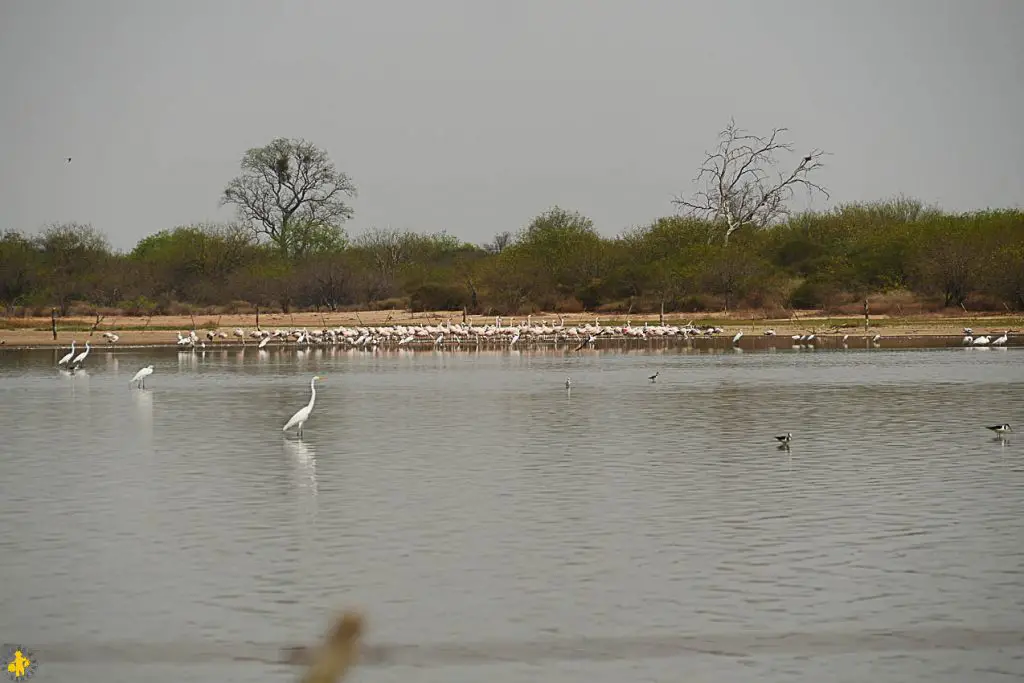 Le Chaco en 4x4 et en famille Filadelfia Paraguay | Blog VOYAGES ET ENFANTS