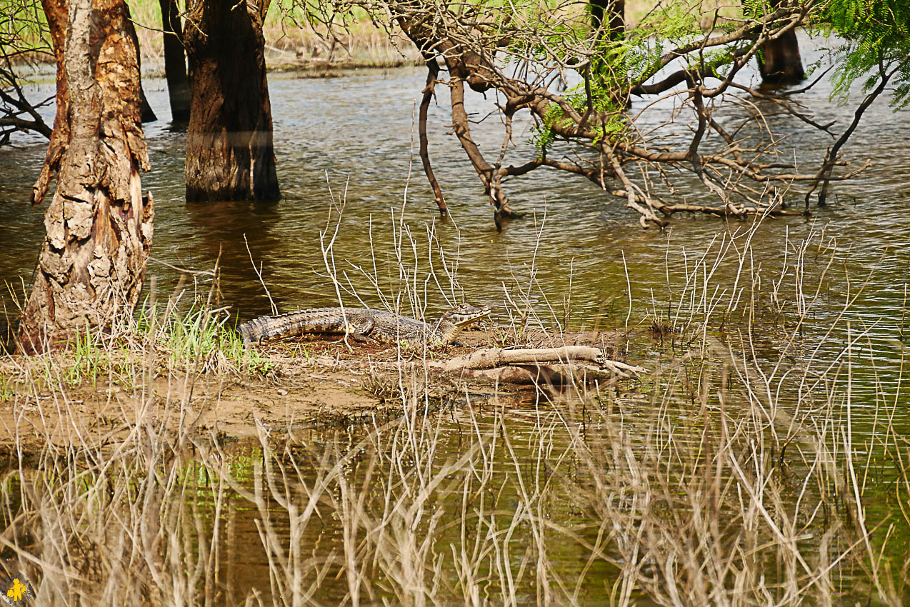 Le Chaco en 4x4 et en famille Filadelfia Paraguay | Blog VOYAGES ET ENFANTS