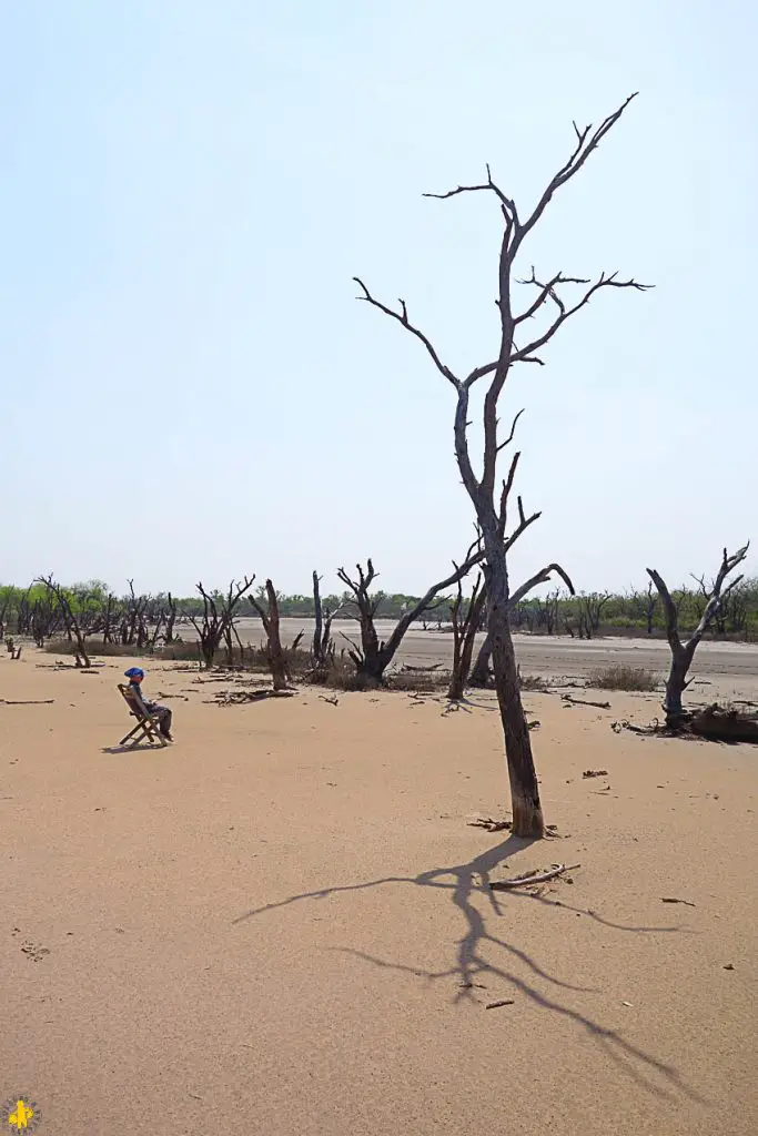 Le Chaco en 4x4 et en famille Filadelfia Paraguay | Blog VOYAGES ET ENFANTS