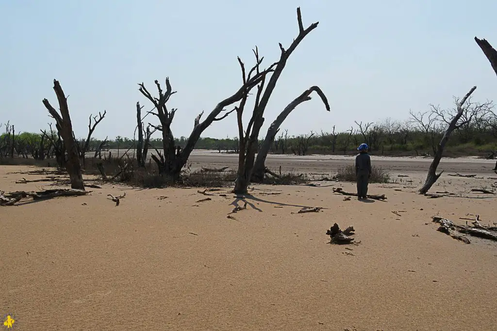 Le Chaco en 4x4 et en famille Filadelfia Paraguay | Blog VOYAGES ET ENFANTS