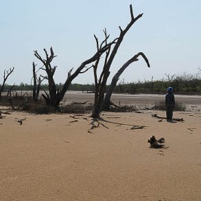 Le Chaco en 4x4 et en famille Filadelfia Paraguay | Blog VOYAGES ET ENFANTS