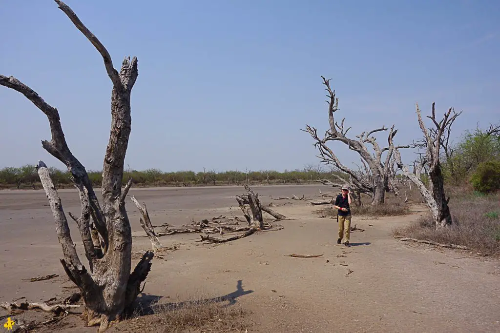 Le Chaco en 4x4 et en famille Filadelfia Paraguay | Blog VOYAGES ET ENFANTS