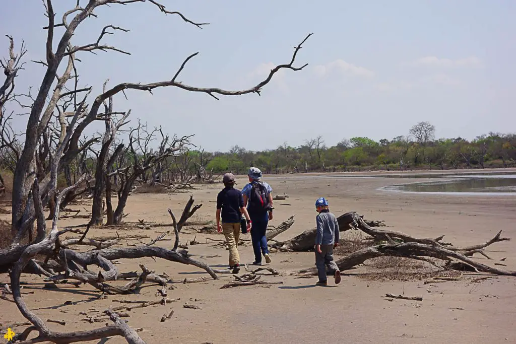 Le Chaco en 4x4 et en famille Filadelfia Paraguay | Blog VOYAGES ET ENFANTS