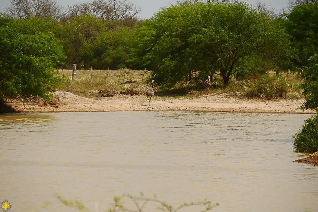 Le Chaco en 4x4 et en famille Filadelfia Paraguay | Blog VOYAGES ET ENFANTS