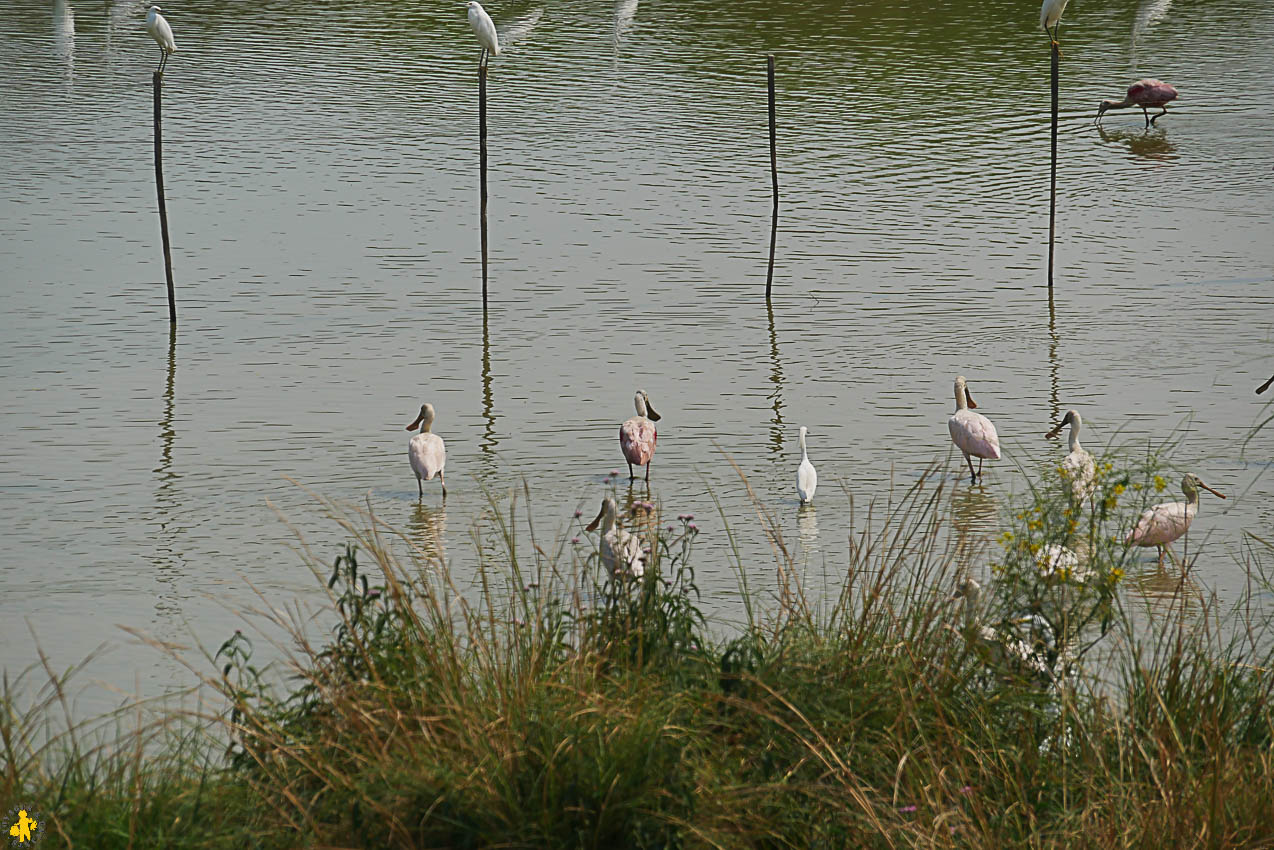 Le Chaco en 4x4 et en famille Filadelfia Paraguay | Blog VOYAGES ET ENFANTS