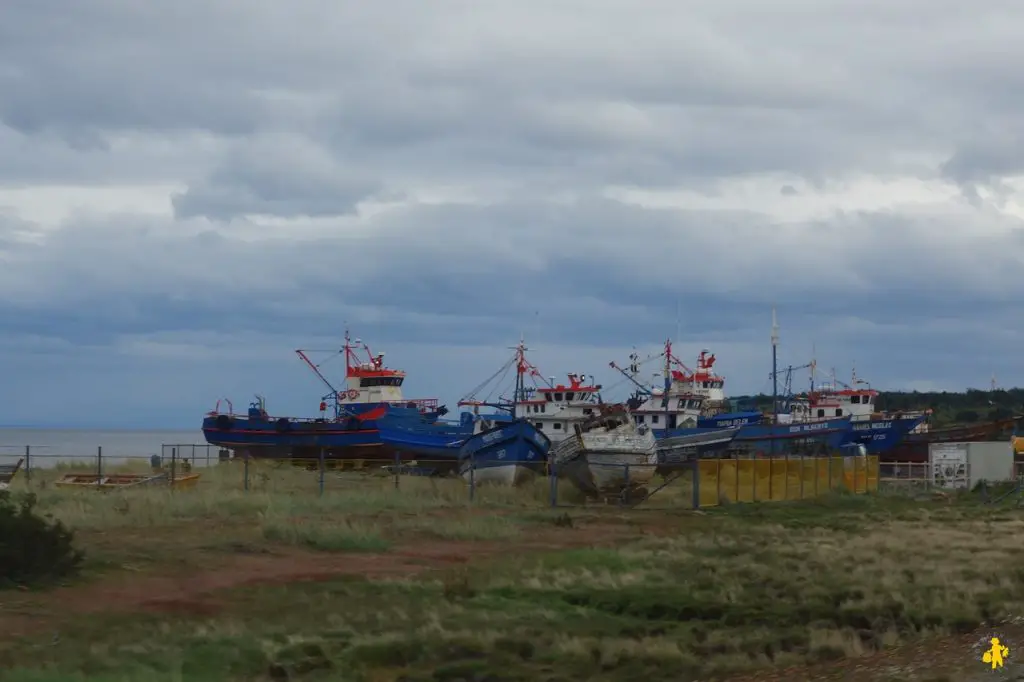 Torres del Paine en famille et Punta Arenas | Blog VOYAGES ET ENFANTS