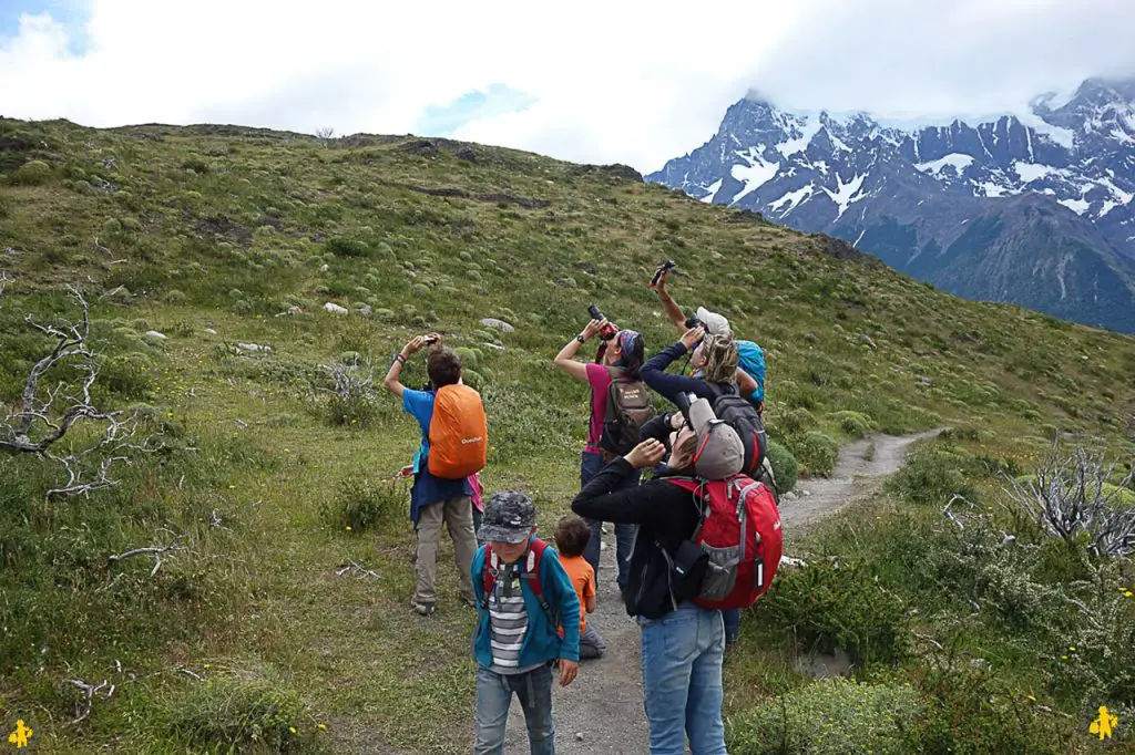 Torres del Paine en famille et Punta Arenas | Blog VOYAGES ET ENFANTS