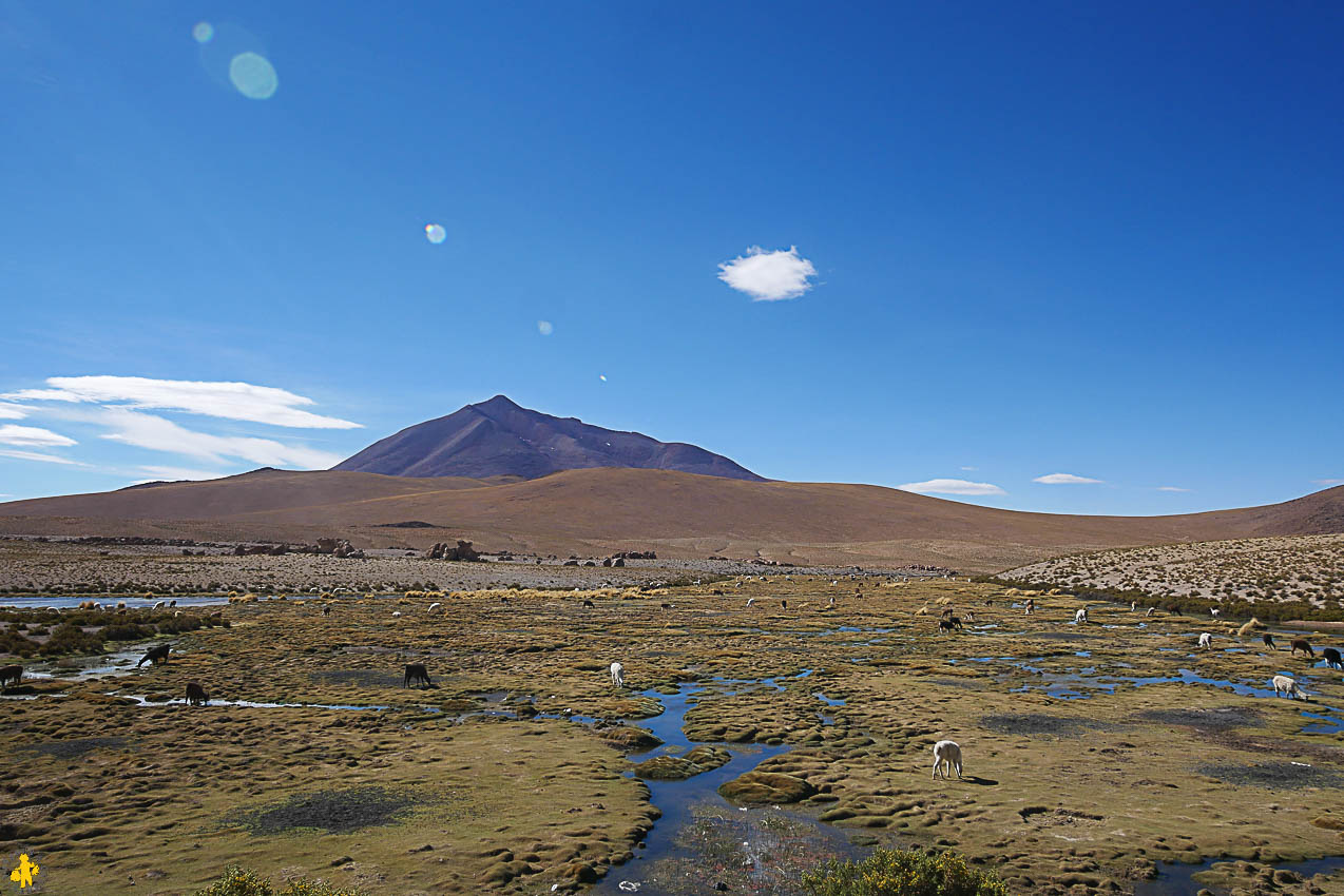 Tour Sud Lipez en autonomie en famille et en 4x4 | Blog VOYAGES ET ENFANTS